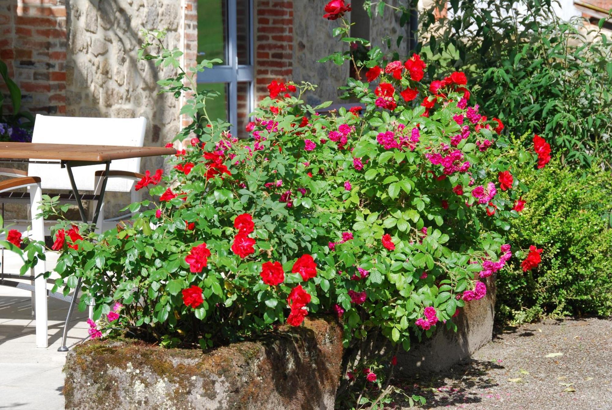 Les Maisons De Concasty Boisset  Bilik gambar